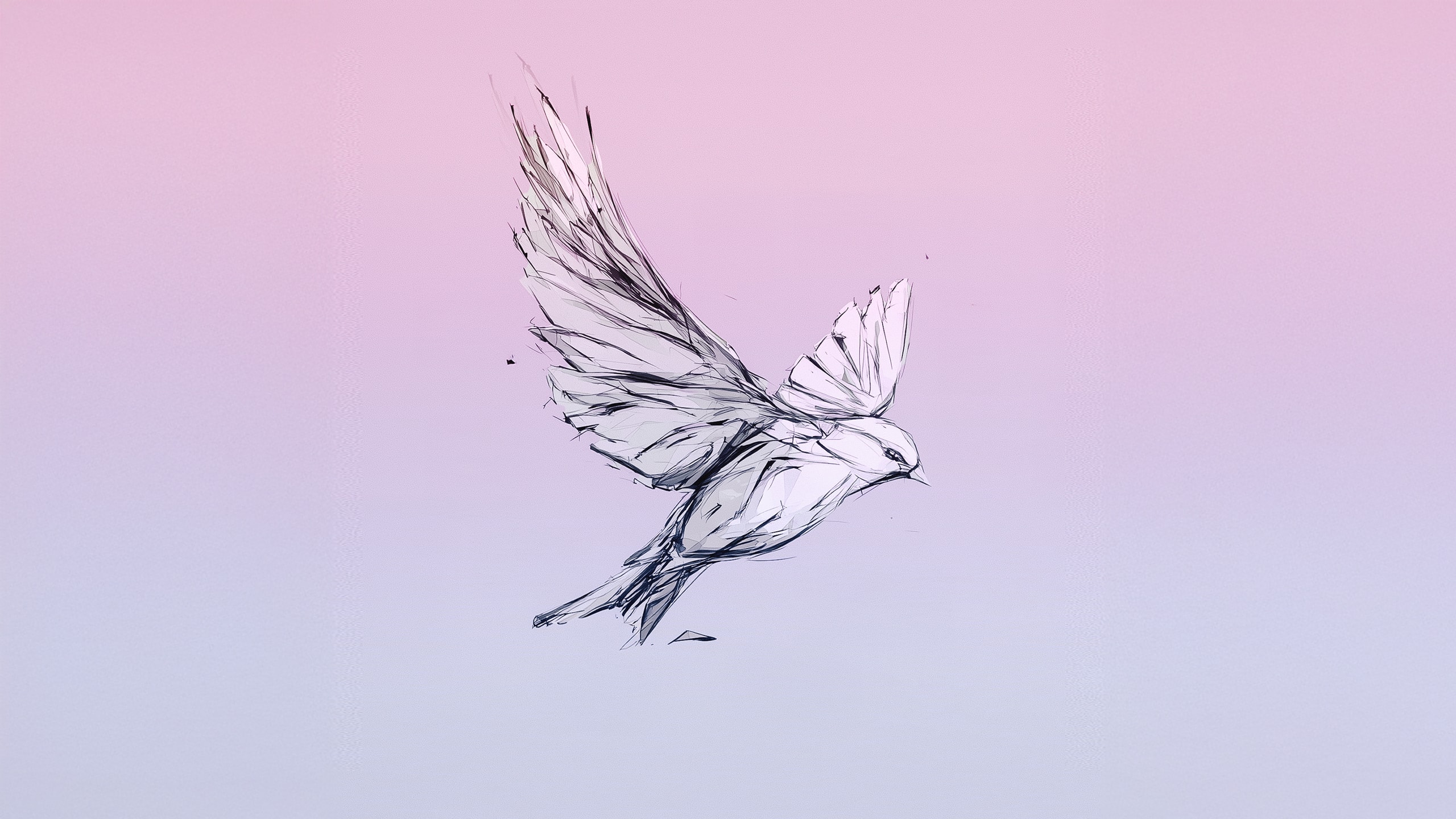 set me free wide artwork